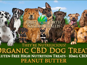 Organic CBD Dog Chewies
