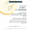 GABA_Infographic_930949d6-6e7a-4df1-ad3a-6634f3540595.jpg