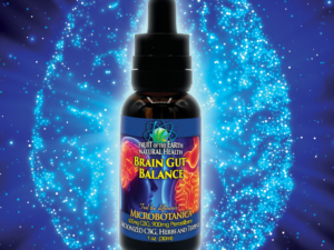 Brain Gut Balance